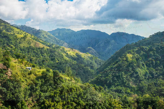 Our Food Knowledge Is Fading (And So Is Our Health)